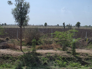 Agricultural/Farm Land for Sale in Sumerpur Pali, Pali (12 Bigha)