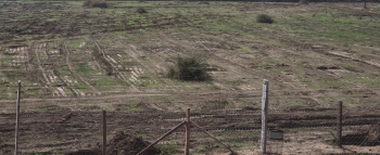 Property for sale in Sumerpur Pali