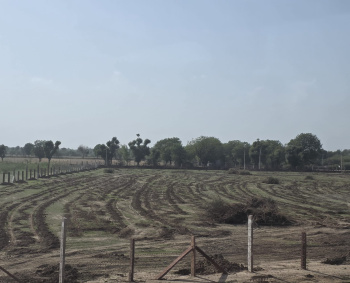 Property for sale in Sumerpur Pali