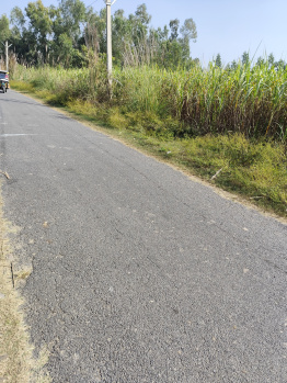 Agricultural/Farm Land for Sale in Najibabad, Bijnor (1.75 Bigha)