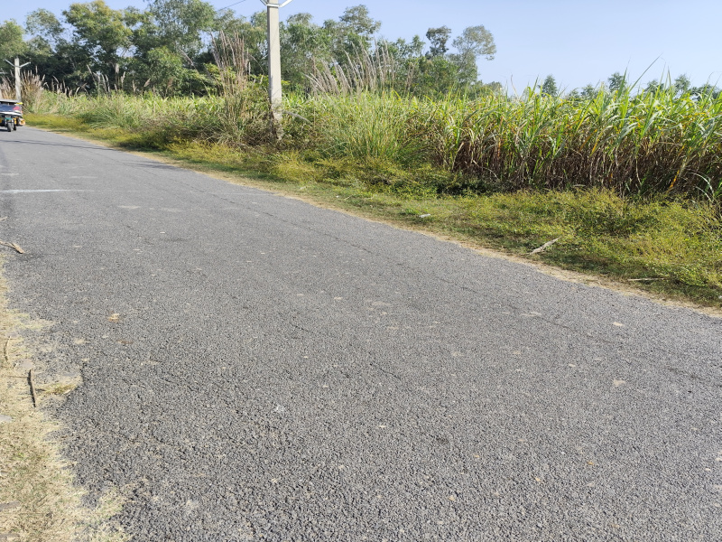 Agricultural/Farm Land For Sale In Najibabad, Bijnor (1.75 Bigha)