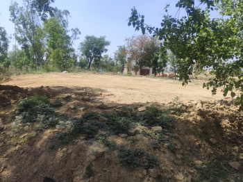 Commercial Lands /Inst. Land for Sale in Mandawar, Bijnor (285 Sq. Yards)