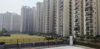 3 BHK Flats & Apartments for Sale in Sector 70, Faridabad (1400 Sq.ft.)