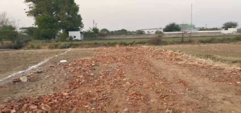 50 Sq. Yards Residential Plot for Sale in Jewar, Gautam Buddha Nagar