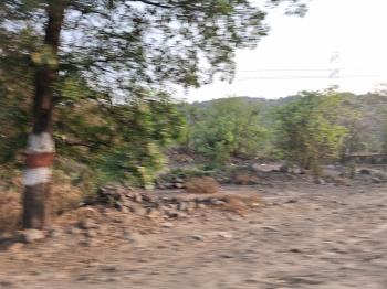 Commercial Lands /Inst. Land for Sale in Sanpada, Navi Mumbai (24 Acre)