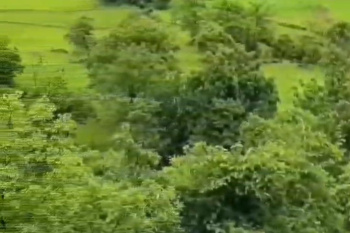 Residential Plot for Sale in Panvel, Raigad (5 Acre)