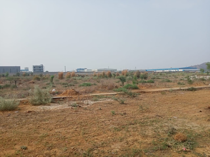 30 Bigha Agricultural/Farm Land for Sale in Neemrana, Alwar