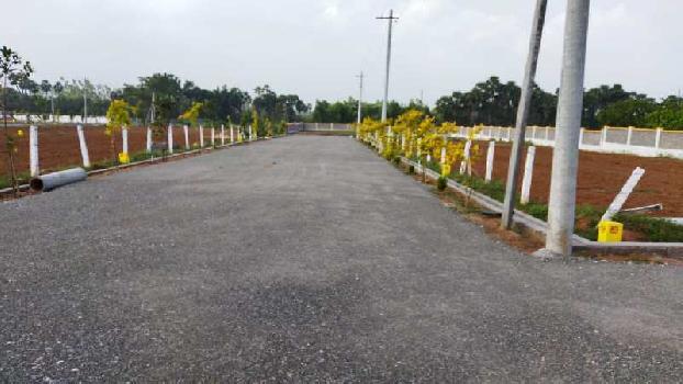 200 Sq. Yards Residential Plot for Sale in Bhogapuram, Visakhapatnam