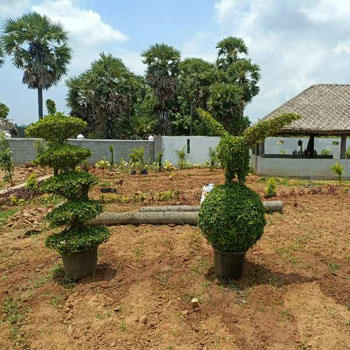 Property for sale in Akkivaram, Vizianagaram