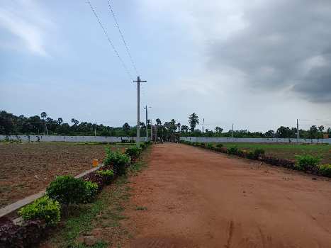 Property for sale in Akkivaram, Vizianagaram