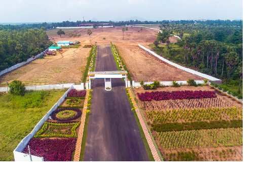 200 Sq. Yards Residential Plot for Sale in Polipalli, Visakhapatnam