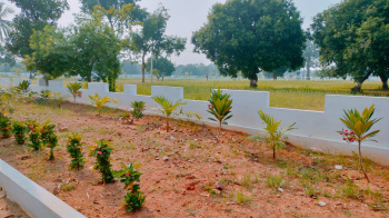 Property for sale in Tagarapuvalasa, Visakhapatnam