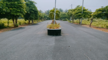 Property for sale in Bhogapuram, Visakhapatnam