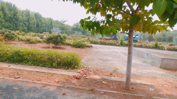 Property for sale in Bhogapuram, Visakhapatnam