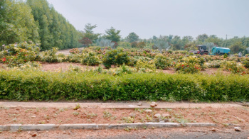 Property for sale in Bhogapuram, Visakhapatnam