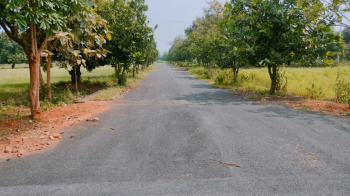 289 Sq. Yards Residential Plot for Sale in Bhogapuram, Visakhapatnam