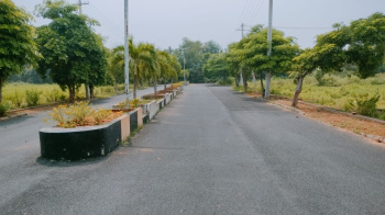 Property for sale in Bhogapuram, Visakhapatnam