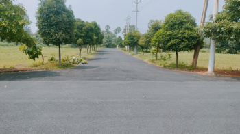 289 Sq. Yards Residential Plot for Sale in Savaravilli, Visakhapatnam