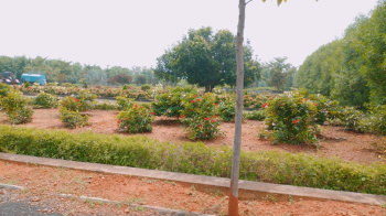 Property for sale in Savaravilli, Visakhapatnam