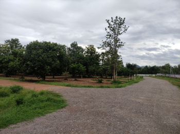 200 Sq. Yards Residential Plot for Sale in Dakamarri, Visakhapatnam