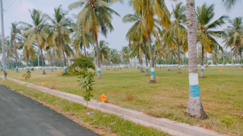 Property for sale in Pydibhimavaram, Srikakulam