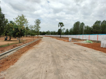 220 Sq. Yards Residential Plot for Sale in Dakamarri, Visakhapatnam