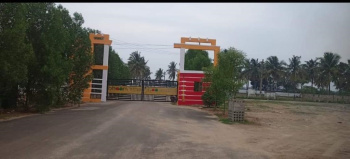 220 Sq. Yards Residential Plot for Sale in Pydibhimavaram, Srikakulam