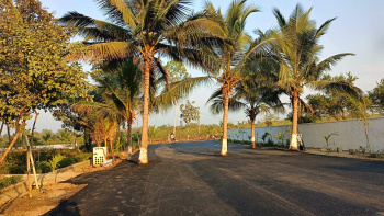 Residential Plot for Sale in Bobbili, Vizianagaram (285 Sq. Yards)