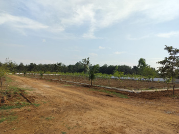 Residential Plot for Sale in Bobbili, Vizianagaram (400 Sq. Yards)