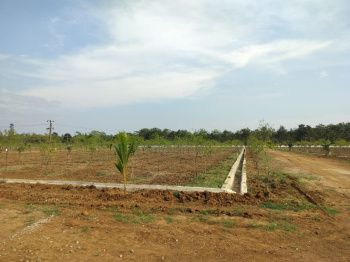 Property for sale in Bobbili, Vizianagaram