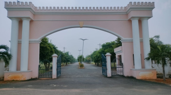 Residential Plot for Sale in Bhogapuram, Visakhapatnam (267 Sq. Yards)
