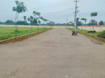 Residential Plot for Sale in Bhogapuram, Visakhapatnam (167 Sq. Yards)