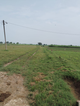 6 Bigha Agricultural/Farm Land for Sale in Issapur, Delhi