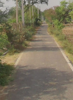 Agricultural/Farm Land For Sale In Issapur, Delhi (1 Acre)