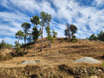 Property for sale in NTD Road, Almora