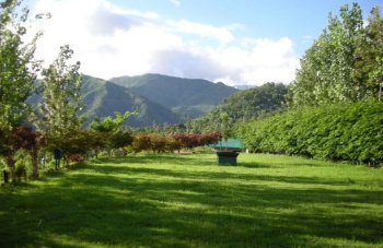 Property for sale in Kotabagh, Nainital