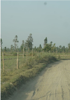 Agricultural/Farm Land for Sale in Garhmukteshwar, Hapur (1210 Sq. Yards)