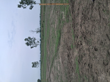 Property for sale in Garhmukteshwar, Hapur