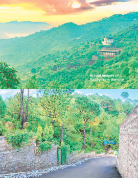 Property for sale in Kumarhatti, Solan