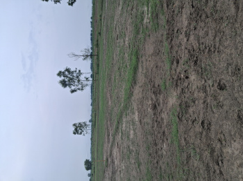 Agricultural/Farm Land for Sale in Garhmukteshwar, Hapur (1210 Sq. Yards)