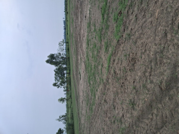 Property for sale in Garhmukteshwar, Hapur
