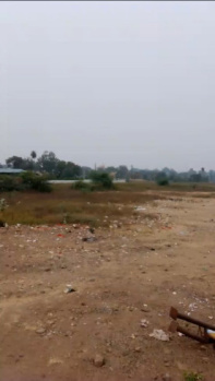 12 Acre Agricultural/Farm Land for Sale in Sanawad, Khargone