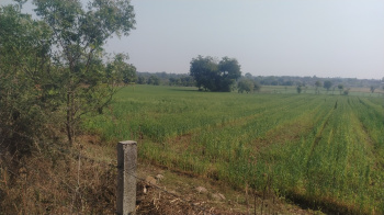 4.25 Bigha Agricultural/Farm Land for Sale in Dhamnod, Dhar