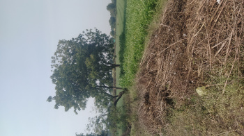 Property for sale in Dhamnod, Dhar