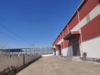 Warehouse Rent in bilaspur tauru