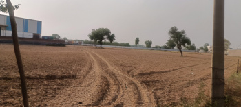 Sale Agriculture land in rewari