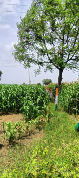 Property for sale in Pataudi, Gurgaon