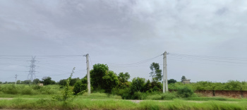 Agriculture land for sale in patoudi