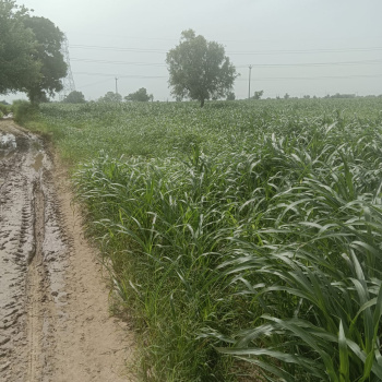 Property for sale in NH 8, Dharuhera
