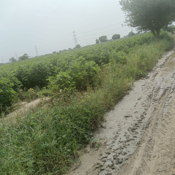 Property for sale in NH 8, Dharuhera